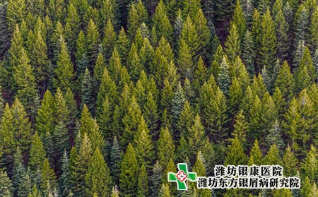 脓疱型牛皮癣会影响生命吗?饮食调理措施?