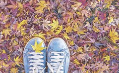 医for Essential 银屑病较怕乾燥 百合莲藕可滋补