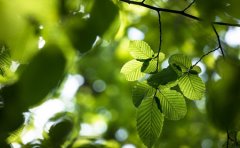 炎炎夏日银屑病患者要防中暑 临沂治银屑病 喝水穿衣有诀窍