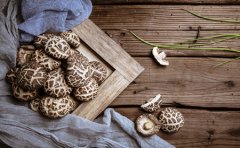 牛皮癣患者也会得荨麻疹吗？临沂的牛皮癣医生：吃香菇易过敏