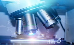 银屑病患者能吃秋葵吗？临沂治疗银屑病医院：能帮助控血糖