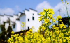 春困秋乏夏打盹 临沂治银屑病医院:哪类族群易“春困”