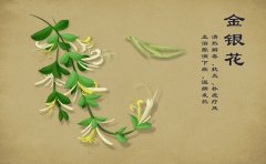春季易上火 临沂郯城区银屑病医院：饮食养生报你知