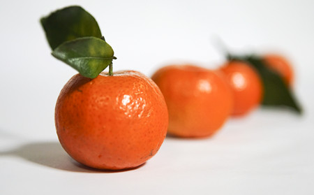 临沂平阴县银屑病医院