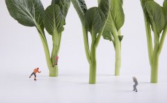 临沂银屑病治疗医生：碱性食物摄取不足损害健康？