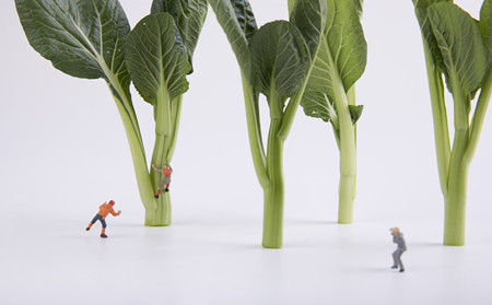 临沂银屑病治疗医生