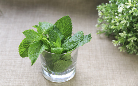 临沂能治牛皮癣医院