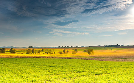 预防牛皮癣需要从哪些方面做起